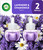 Air Wick Twin pack Lavender & Chamomile