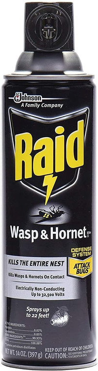 Raid Wasp & Hornet Killer, 14oz