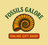 Fossils Galore Museum Gift Shop