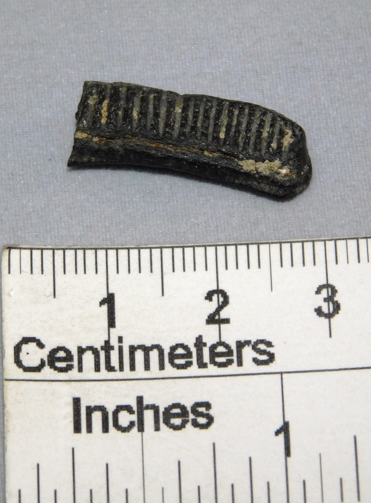 Florida Ray plate