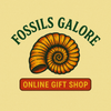 Fossils Galore Gift Shop