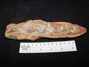 Brazilian Fish Nodule