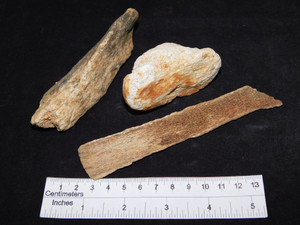 Mixed Ice Age Mammal Bones