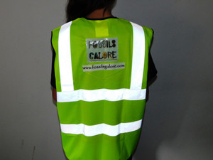 Fossils Galore Hi-Vis Vest