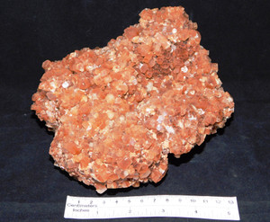 Display  Aragonite Freeform