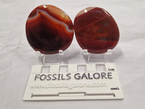 Carnelian Palmstone