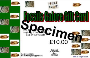 £10 Gift Voucher