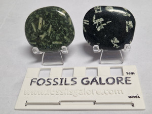 Kambaba Jasper Palmstone