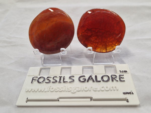 Fire Agate Palmstone Fire Agate Palmstone