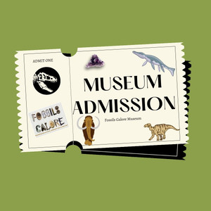 Museum Admission