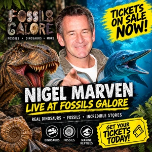 Nigel Marven Event