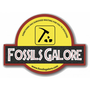 Fossil Hunting Activity Ticket Fossil Hunting Activity Ticket