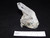 Large Specimen Quartz