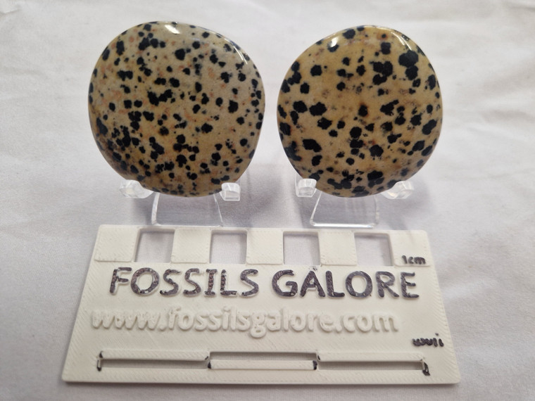 Dalmatian Jasper Palmstone
