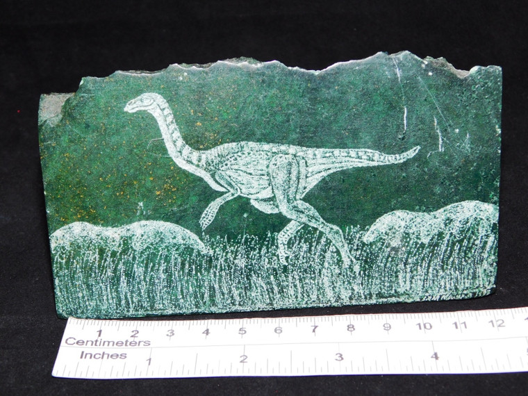 Verdite Dinosaur (Gallimimus)