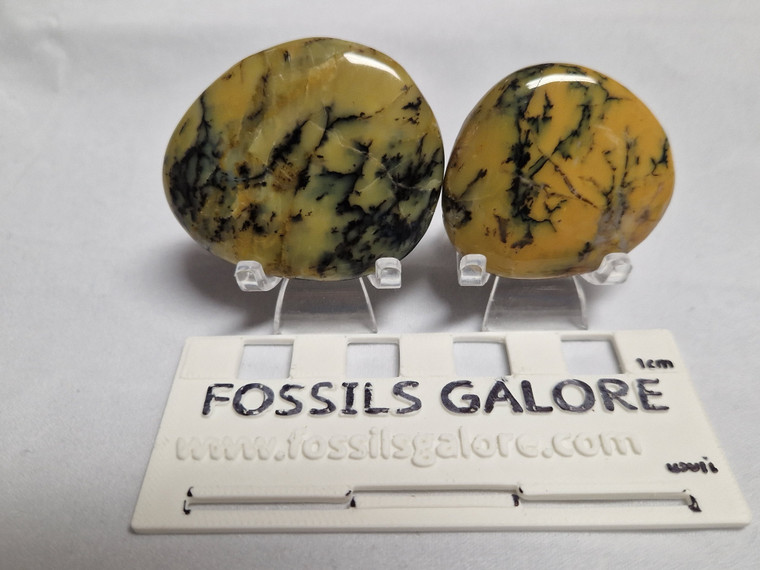 Golden Merlinite Palmstone