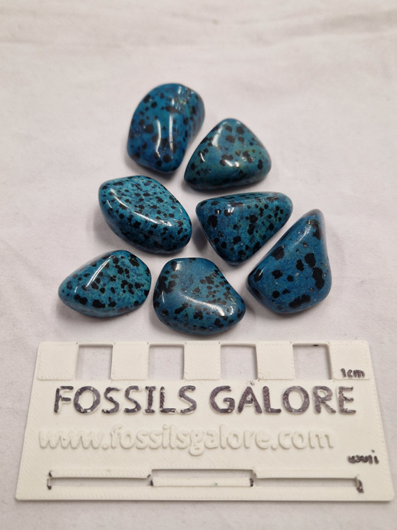 Blue Dalmatian Jasper Tumble