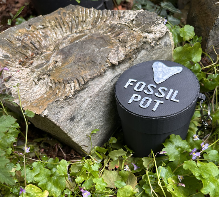 Large Fossil Pot Keyring