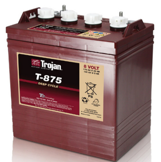 8 Volt Trojan T-875 Golf Cart Battery 8V/170Ah (6 Pack, 48V)