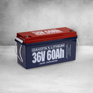 Dakota Lithium 36V 60AH Deep Cycle Golf Cart Battery