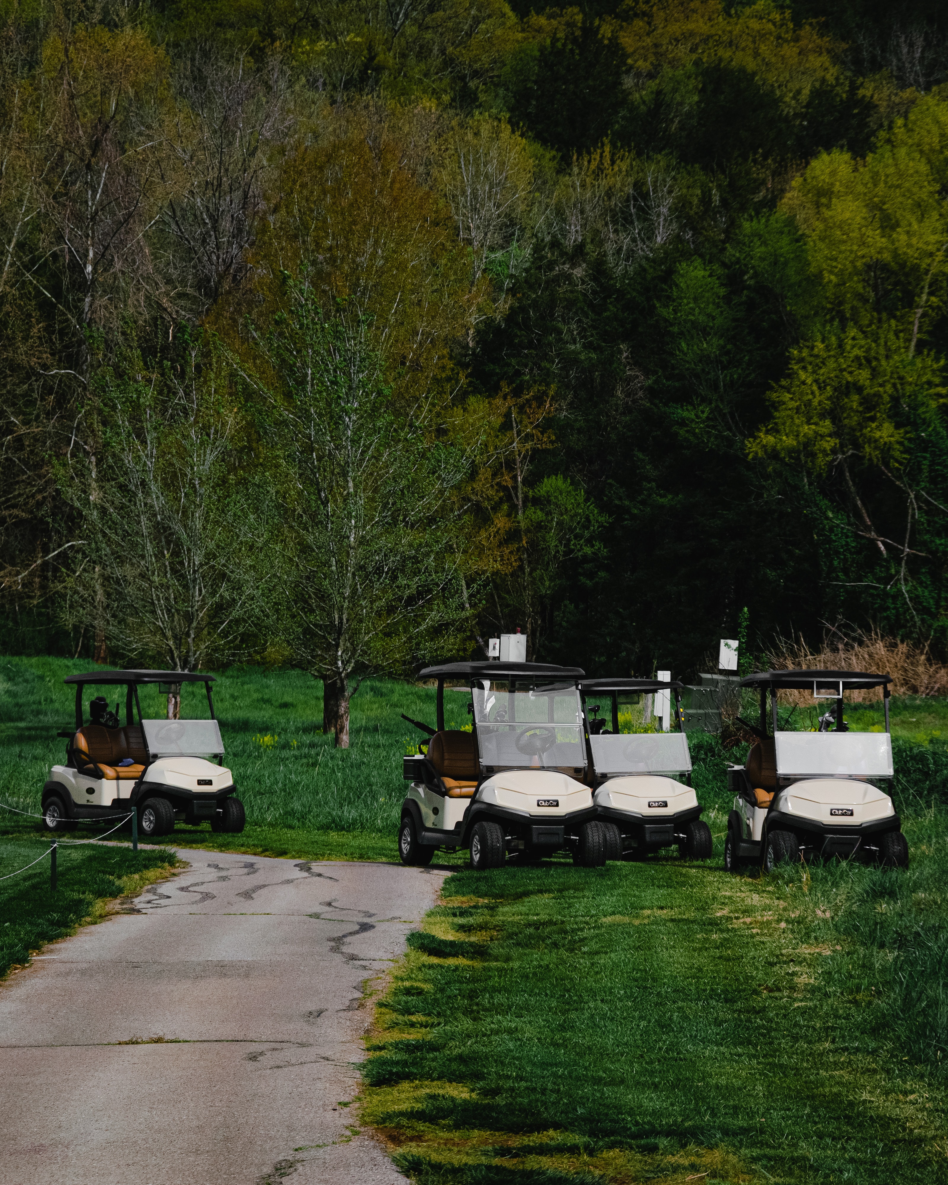 2007 Club Car Hunting Buggy