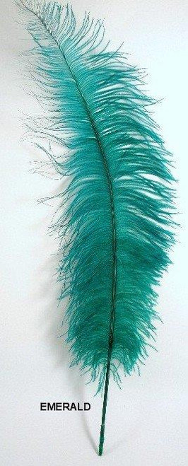 Ostrich Feather Green Approx Size 9inx5in