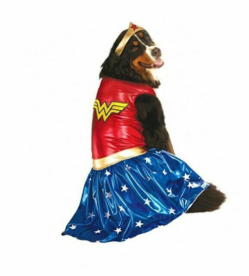 Wonder woman Pet Costume XXL