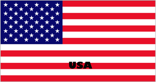 Flag USA 15cm Pack of 10