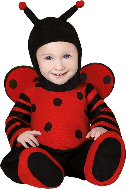 Baby Ladybird Age 12 to 18 Months