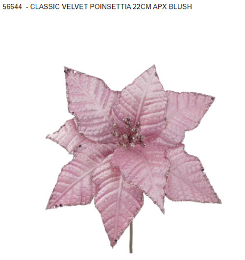 Classic Velvet Poinsettia Blush 22cm