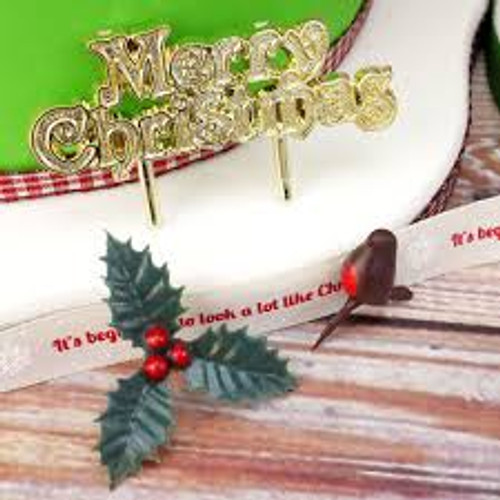 Yule Log Decorating Kit