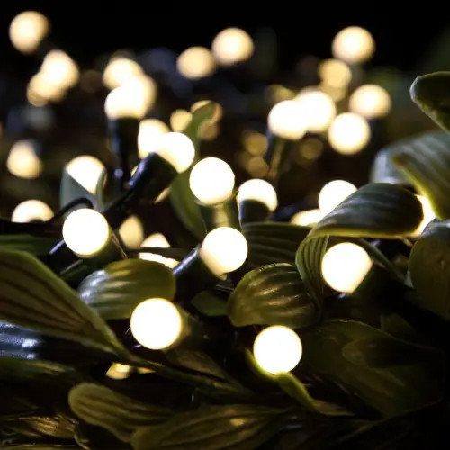 100 LED Berry Lights Warm White BO