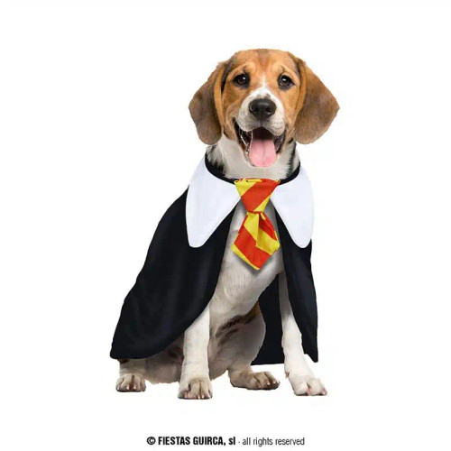 Student of Magic Dog Costume Size Medium