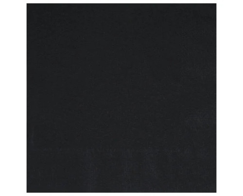 Lunch Napkins Midnight Black 2Ply Pk50