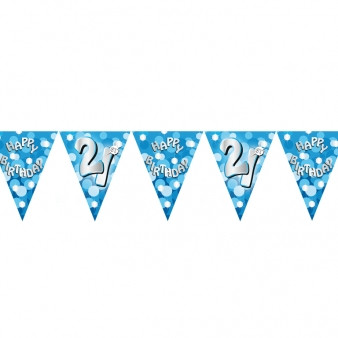Blue Sparkle Bunting Age 21