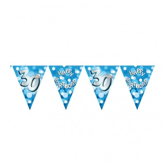 Blue Sparkle Bunting Age 30