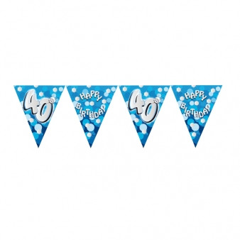 Blue Sparkle Bunting Age 40
