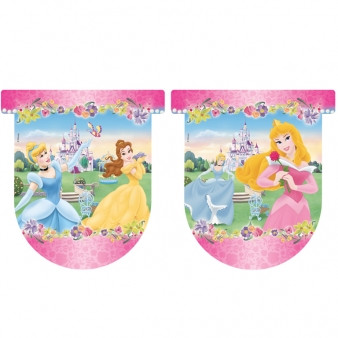 Disney Princess Pennant Banner