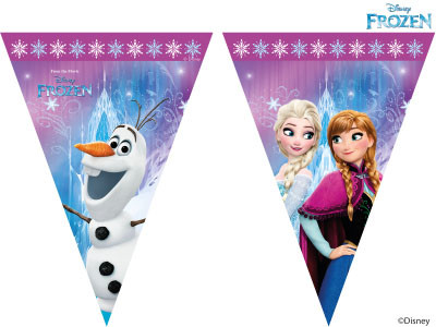 Frozen Flag Banner 2.3m
