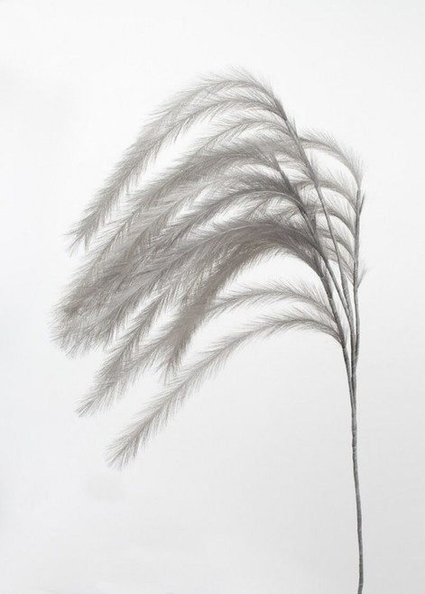 Pampas Hanging Flower Grey 150cm