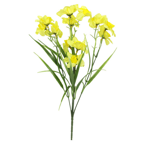 Mini Daffodil Bush 6 Heads