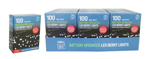 100 LED Timer Berry Lights White