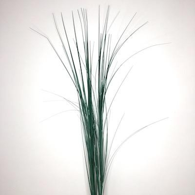 Onion Grass Dark Green