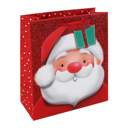 Glittering Santa Bag Medium