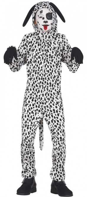 Dalmatian Dog Age 7 to 9 Years