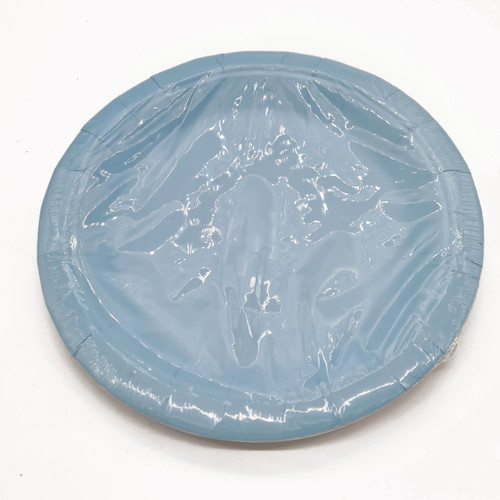 Paper Plates 23cm Light Blue 10 Pack