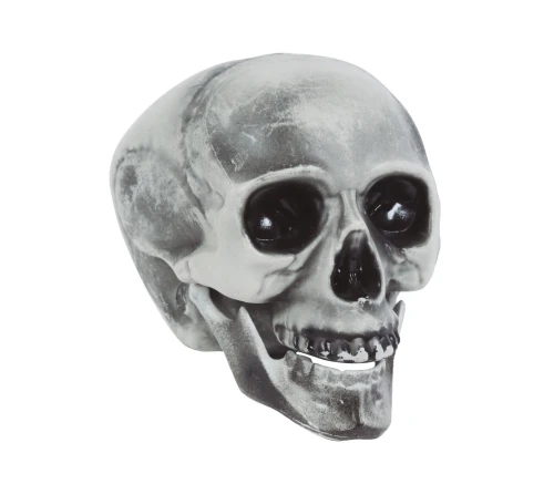 Skull Prop PVC 20cm