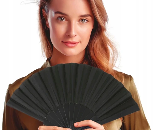 Black Fan 40x23cm