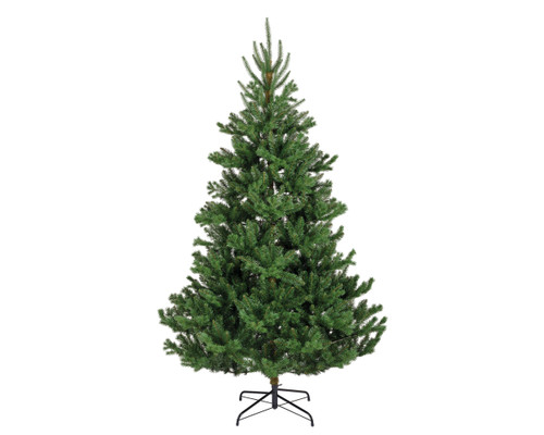 Alba Fir Christmas Tree 2.4m