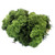 Reindeer Moss Dark Green 500g